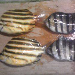 新宮港で小アジ